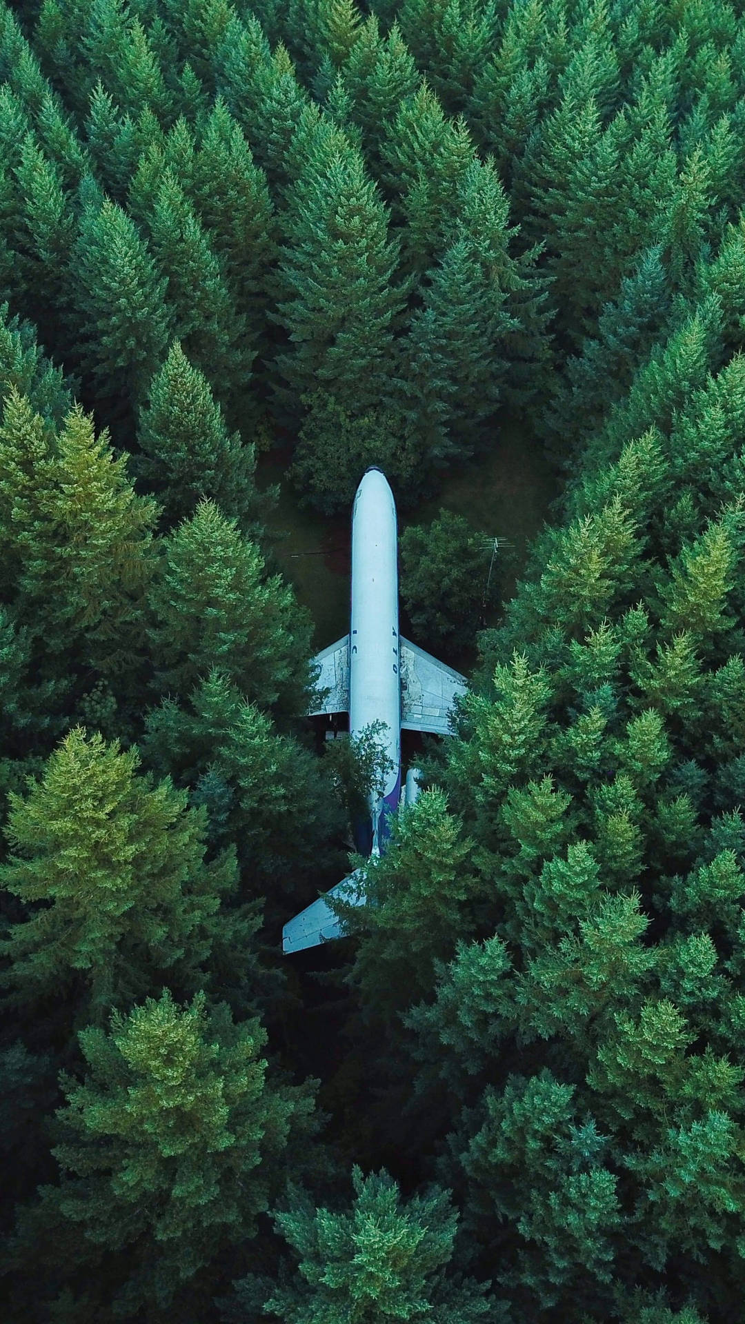 Samsunggalaxy S7 Edge Flugzeug Im Wald Wallpaper
