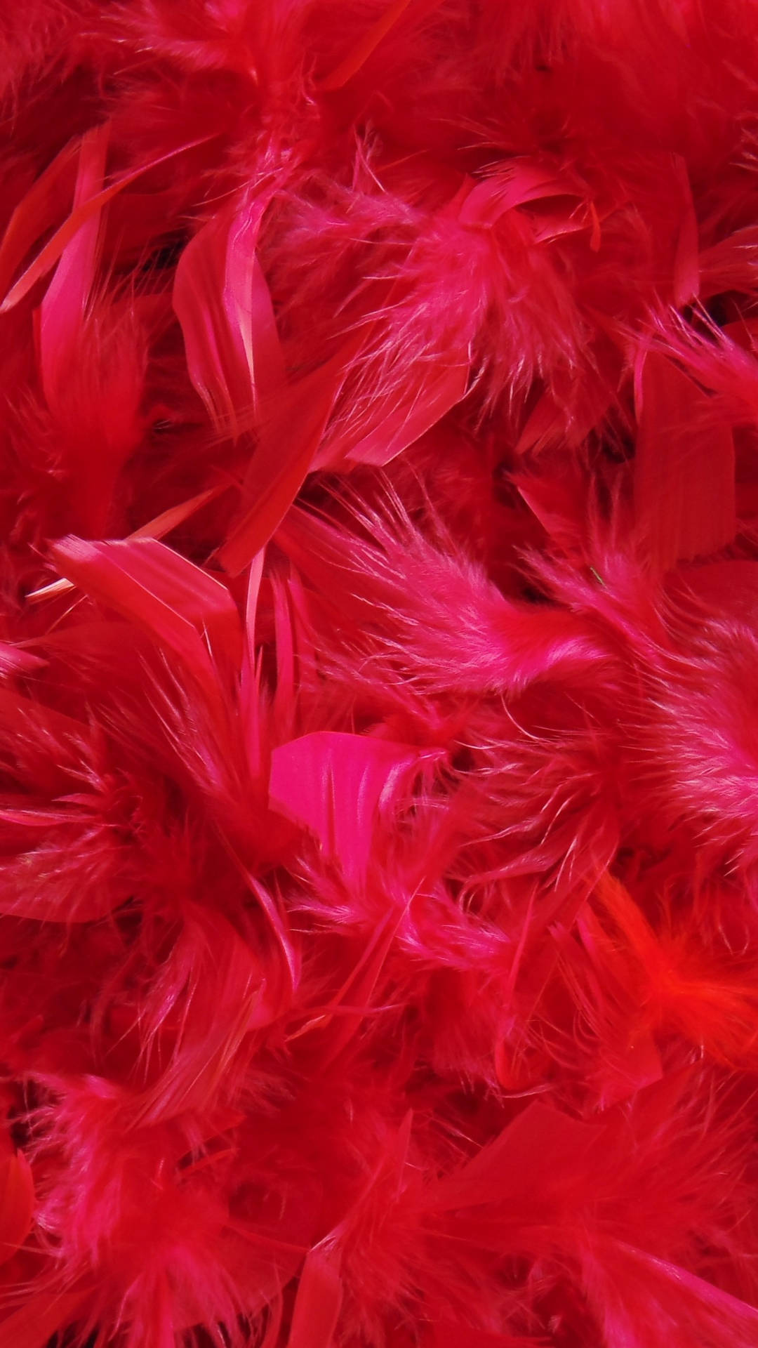 Samsung Galaxy S7 Edge Red Feathers Wallpaper