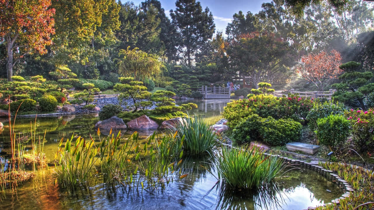 Serene Samurai Garden Wallpaper