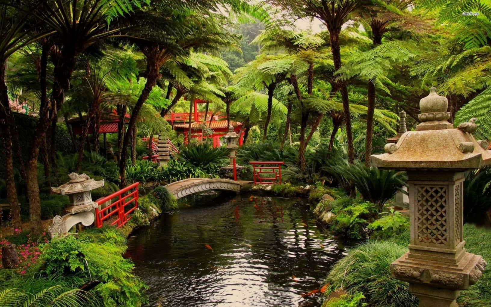 Samuráien Medio De Un Jardín Tranquilo. Fondo de pantalla