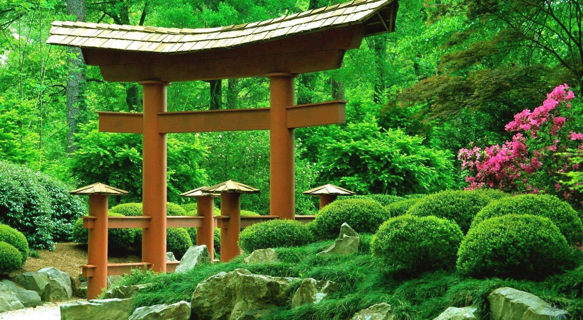 Samurai Garden: A Serene Oasis Wallpaper