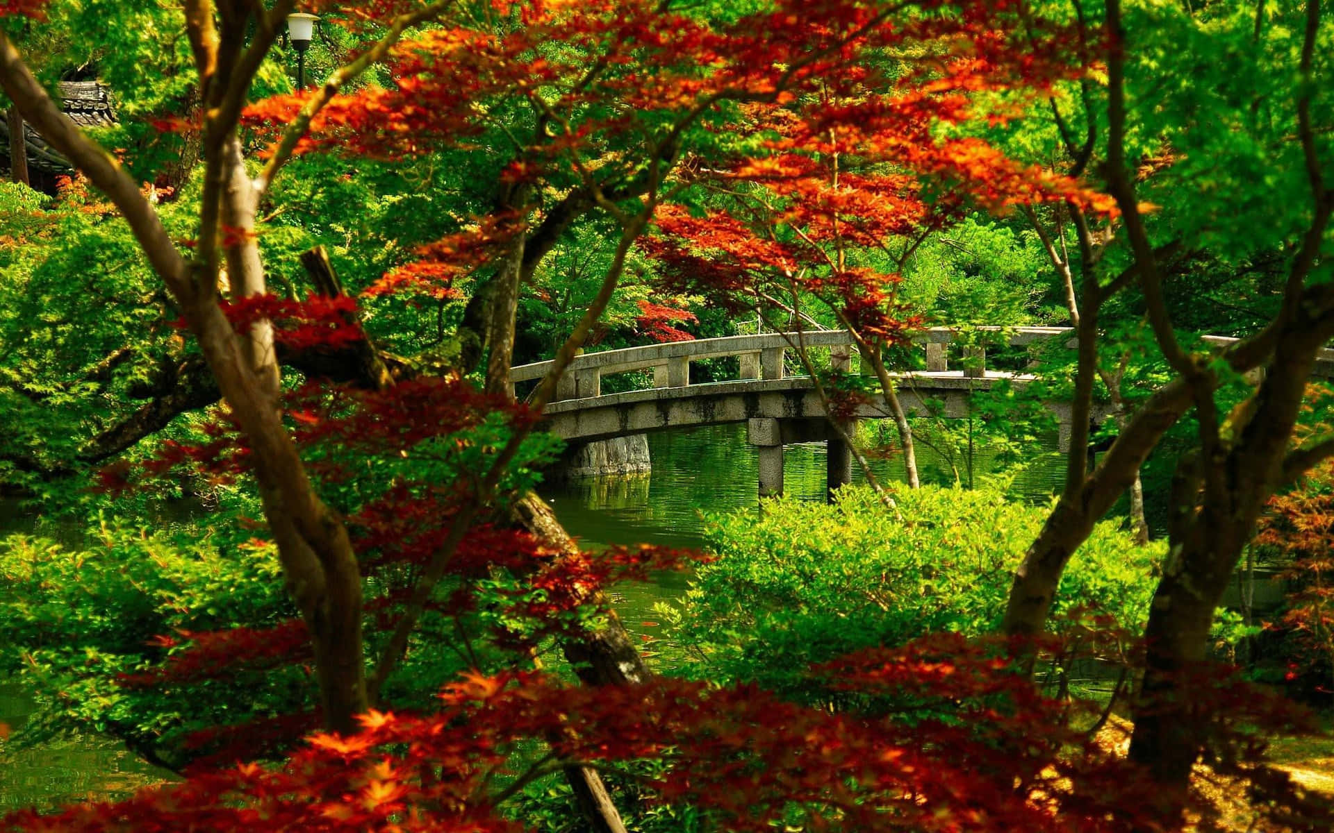 Serene Samurai Garden &- Nature's Harmony Wallpaper