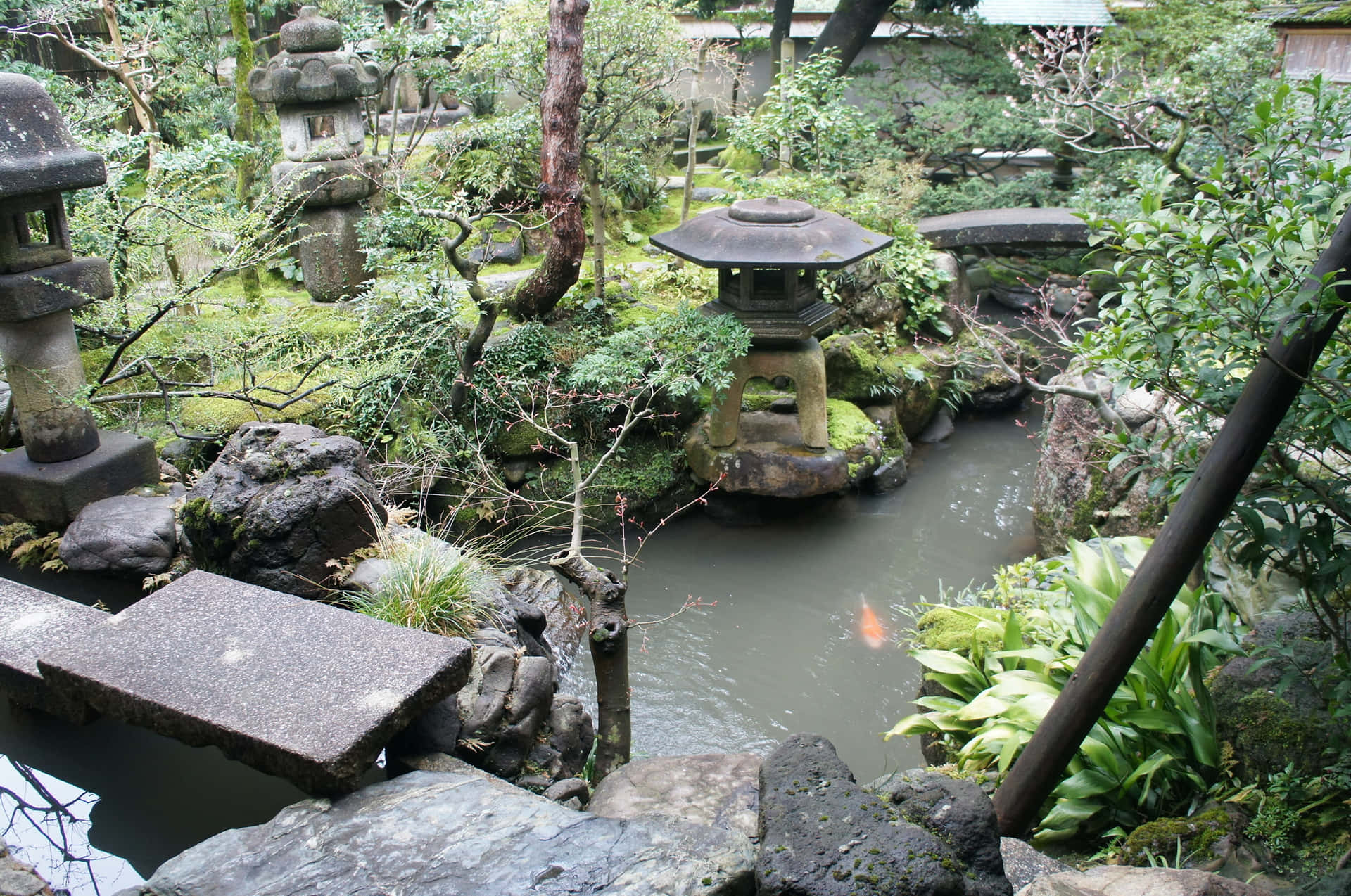 Jardíndel Sereno Samurái Fondo de pantalla