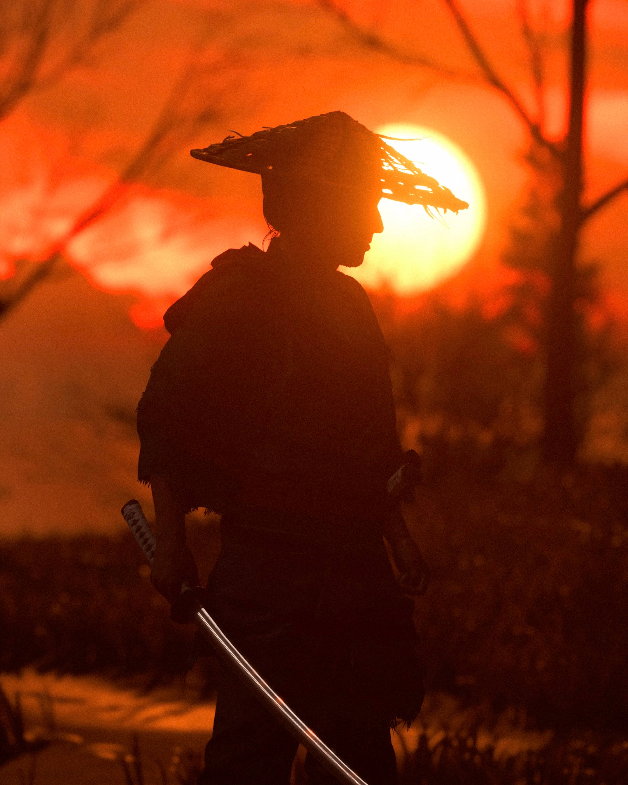 Samurai In Sunset Wallpaper