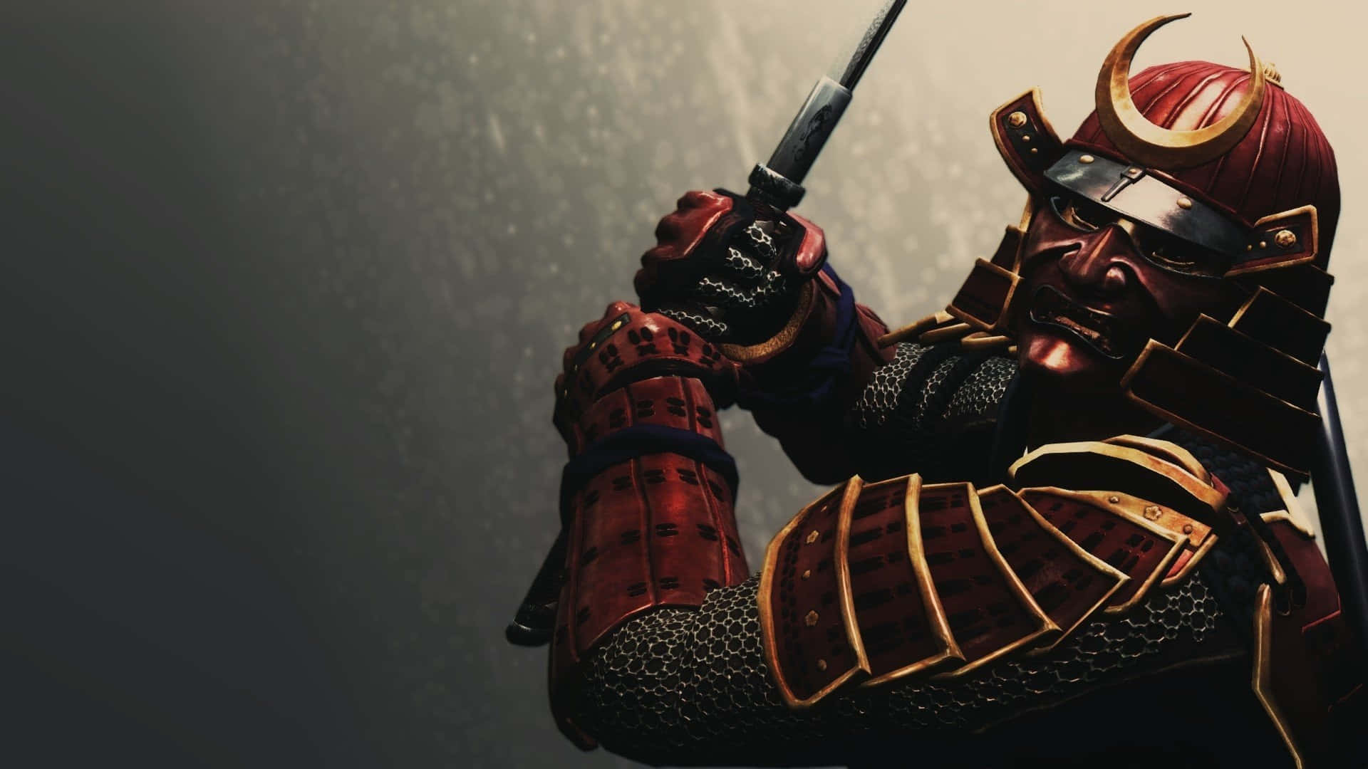 Samuraix Luchando Por La Justicia