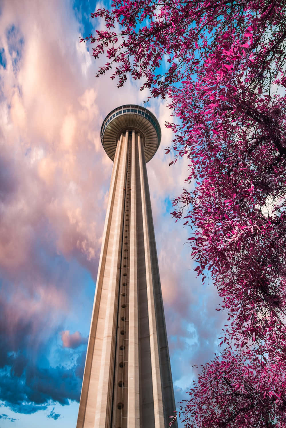 A Tower With Pink Blossoms In The Background