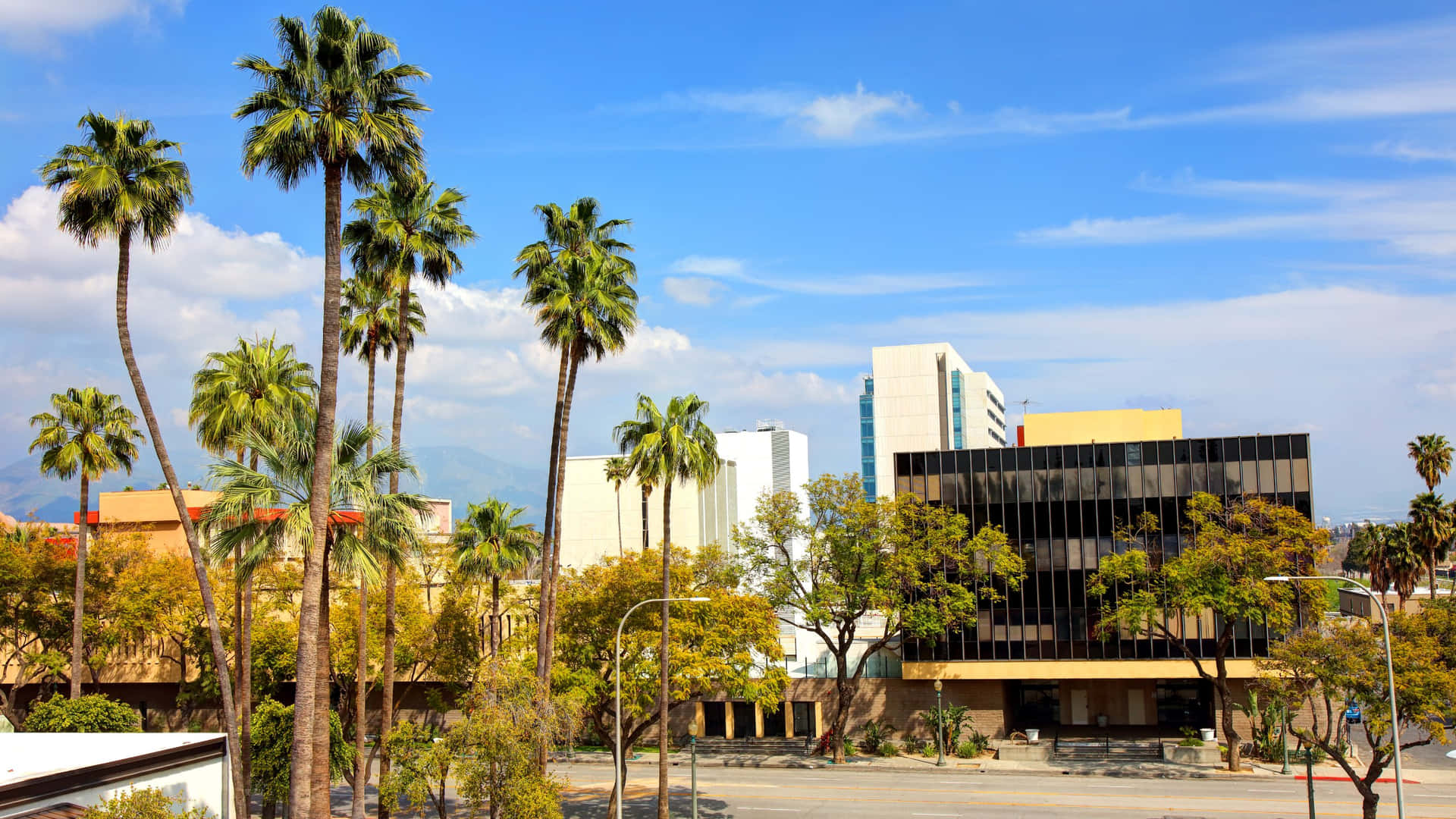 San Bernardino Cityscape Palm Trees Wallpaper