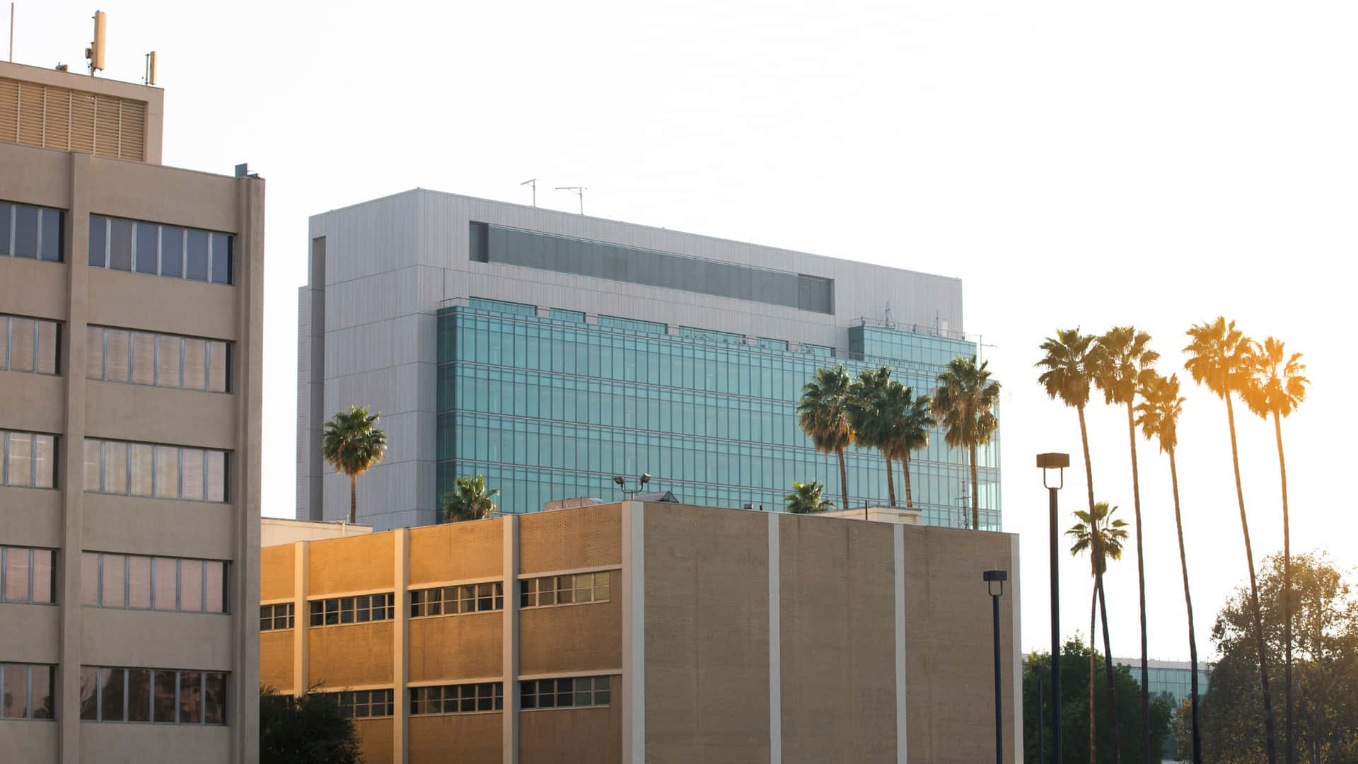 San Bernardino Modern Buildings Palm Trees Sunset Wallpaper