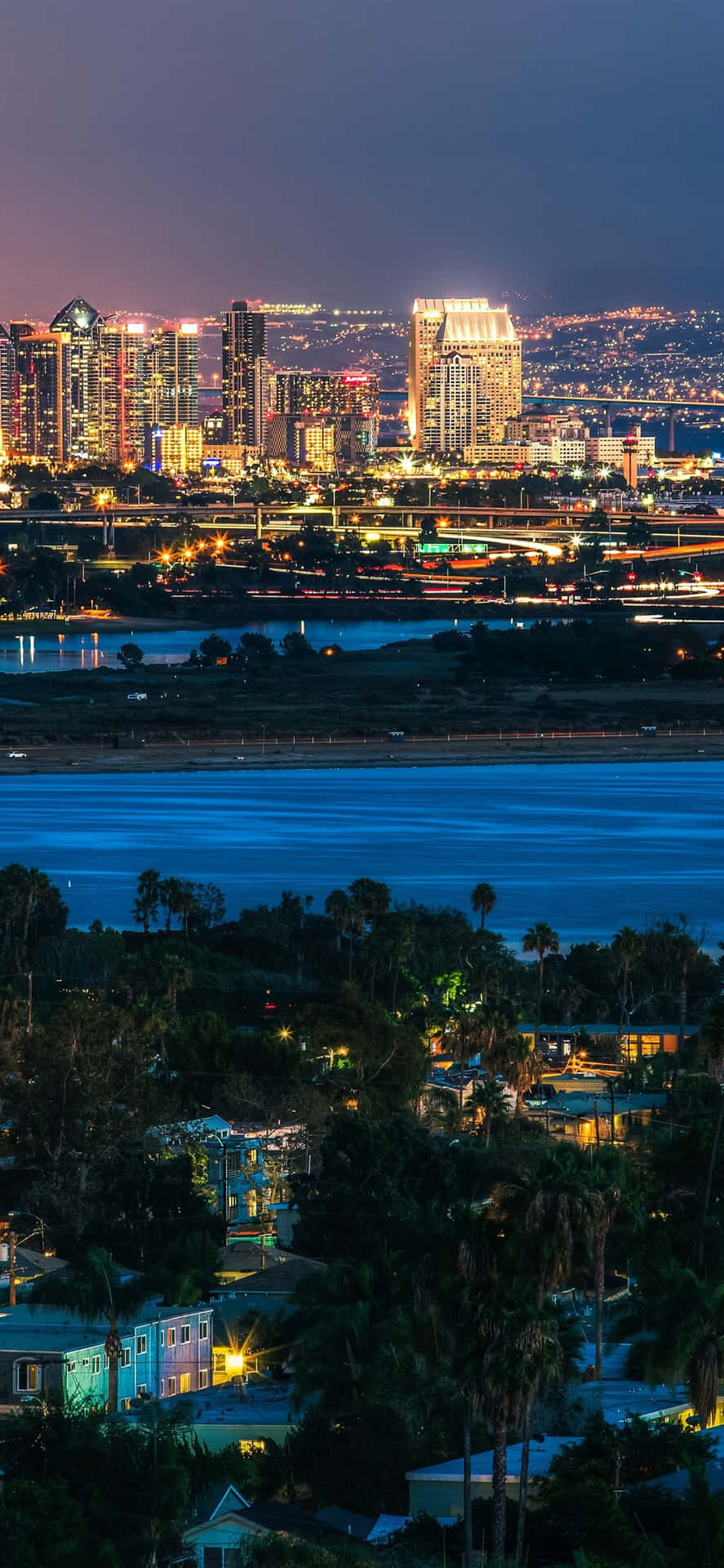 Panoramadi San Diego Di Notte Sfondo