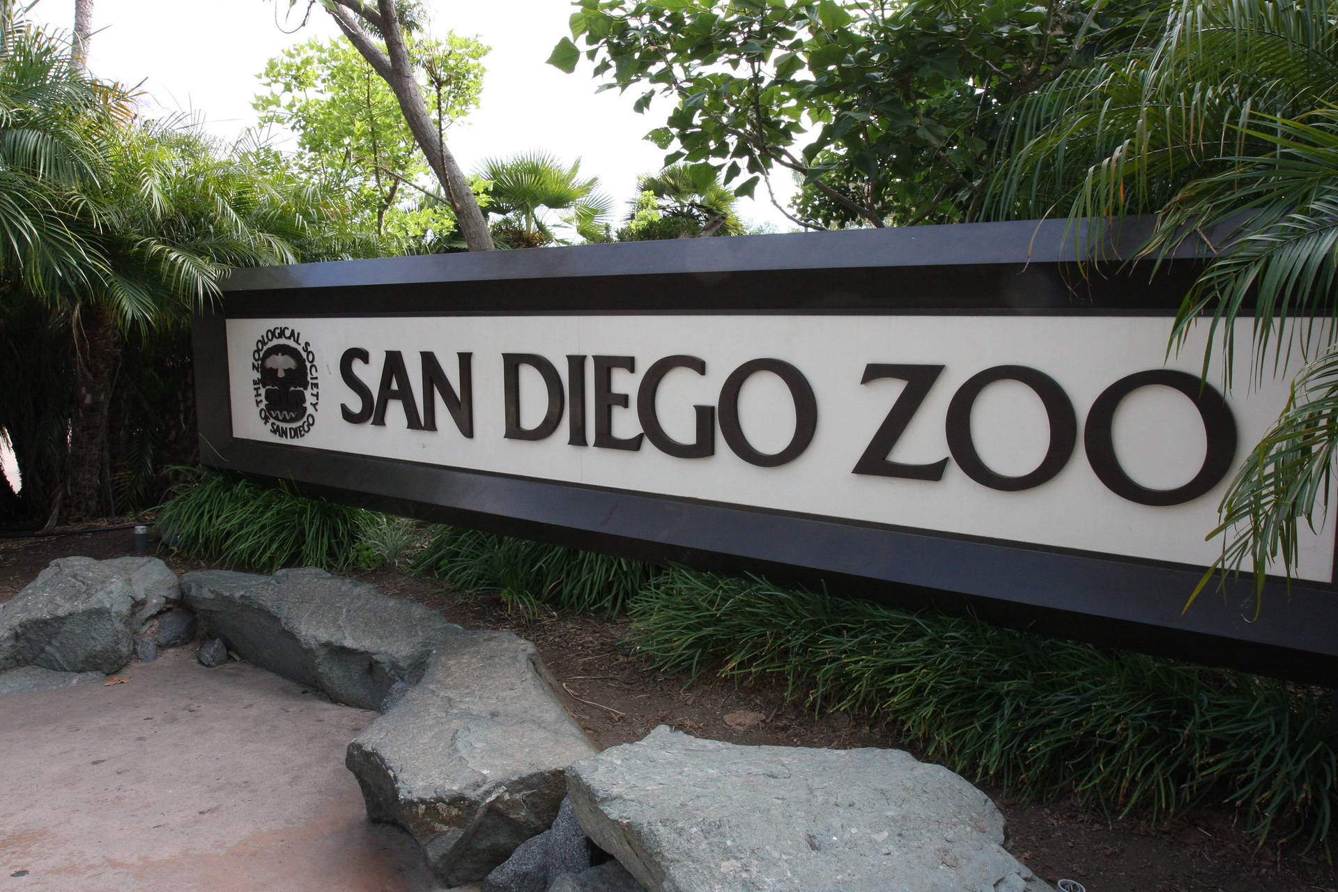 San Diego Zoo Black And White Sign Wallpaper