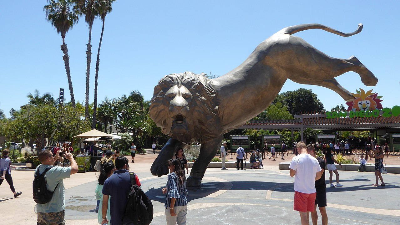 San Diego Zoo Lion Statue Wallpaper