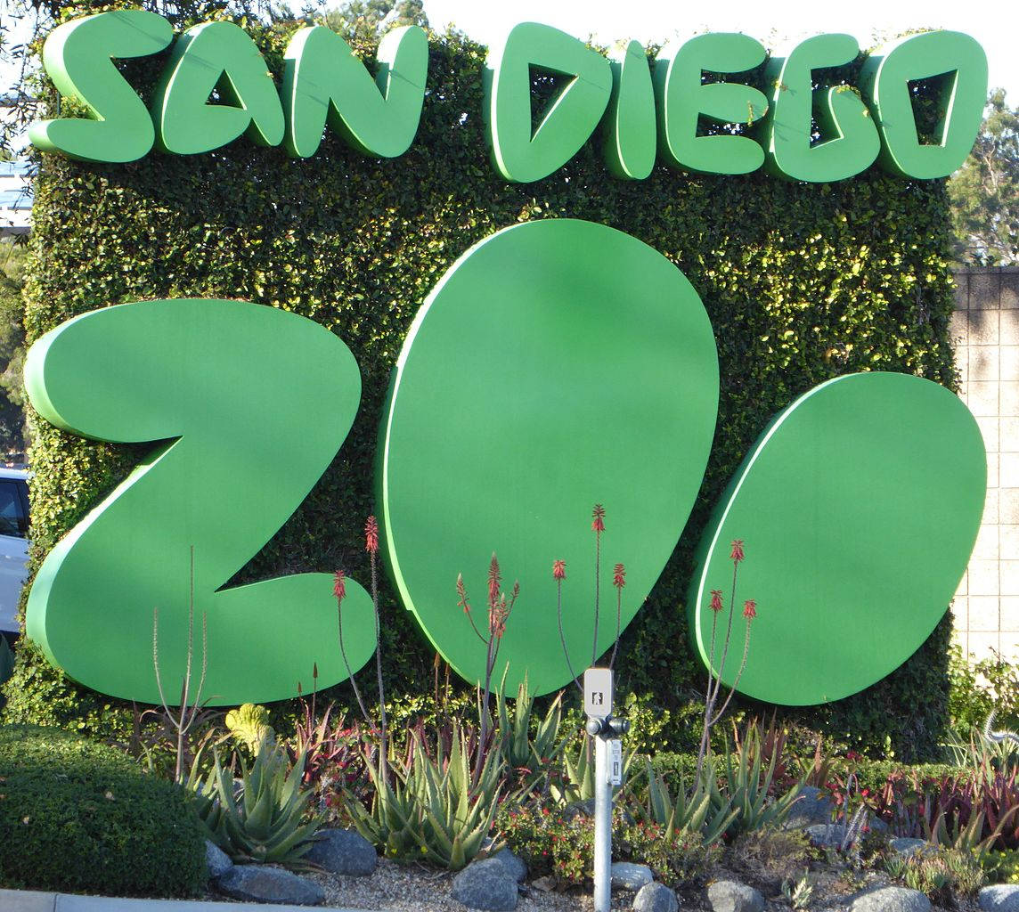 San Diego Zoo Simple Green Sign Wallpaper