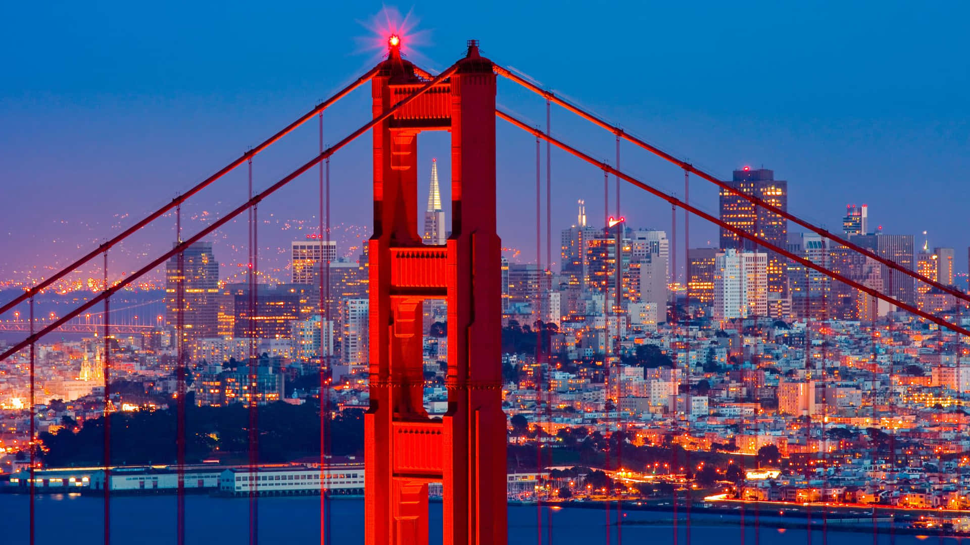 "Embrace the beauty of San Francisco"
