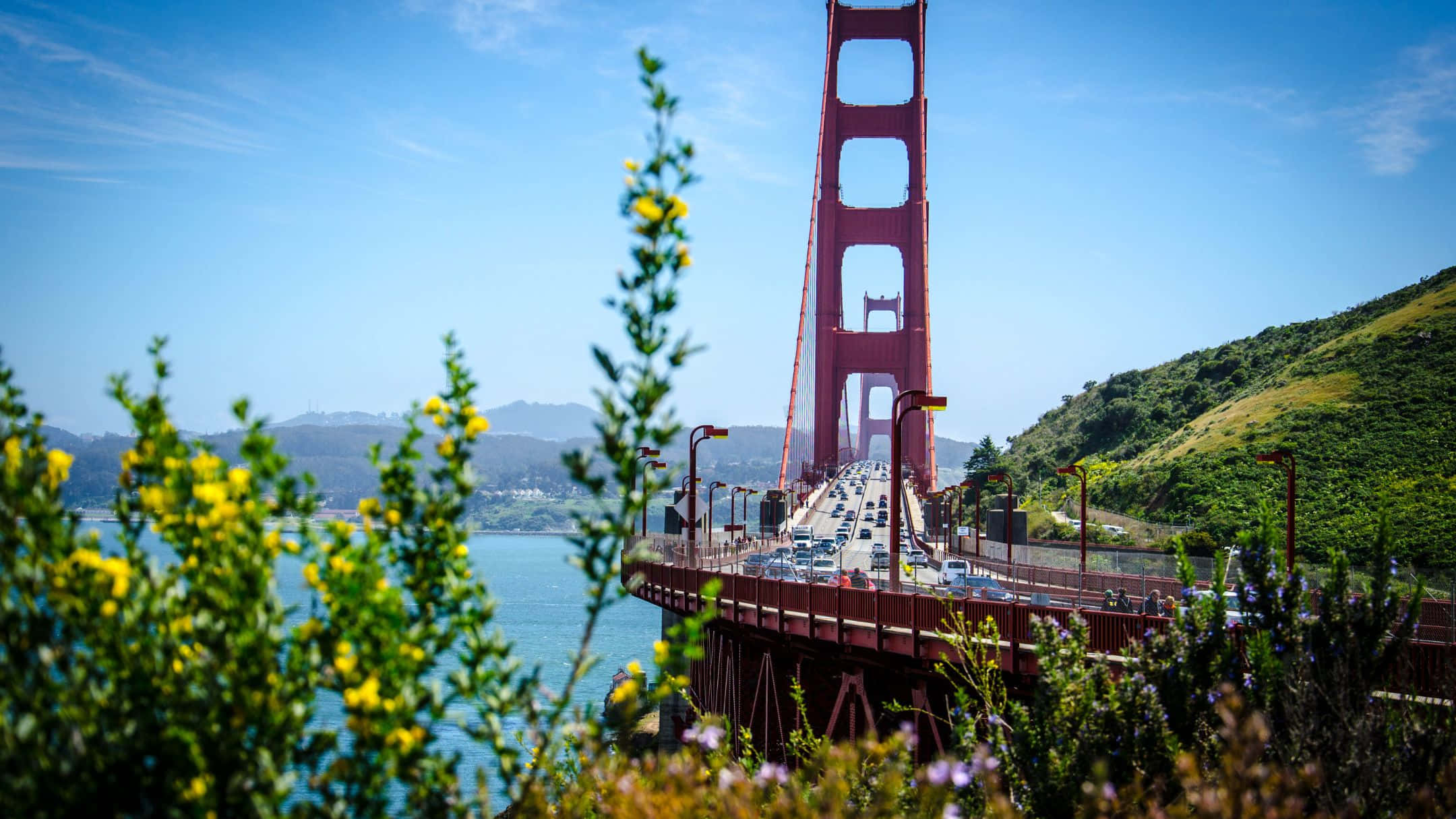 "Spectacular Panorama of San Francisco"