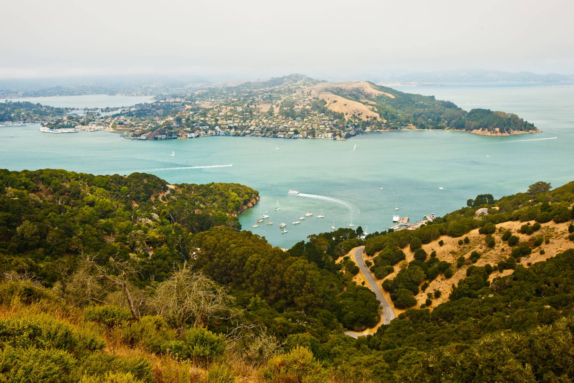 San Francisco Angel Island Picture