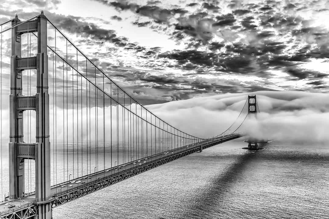 A View of San Francisco in Black and White Wallpaper