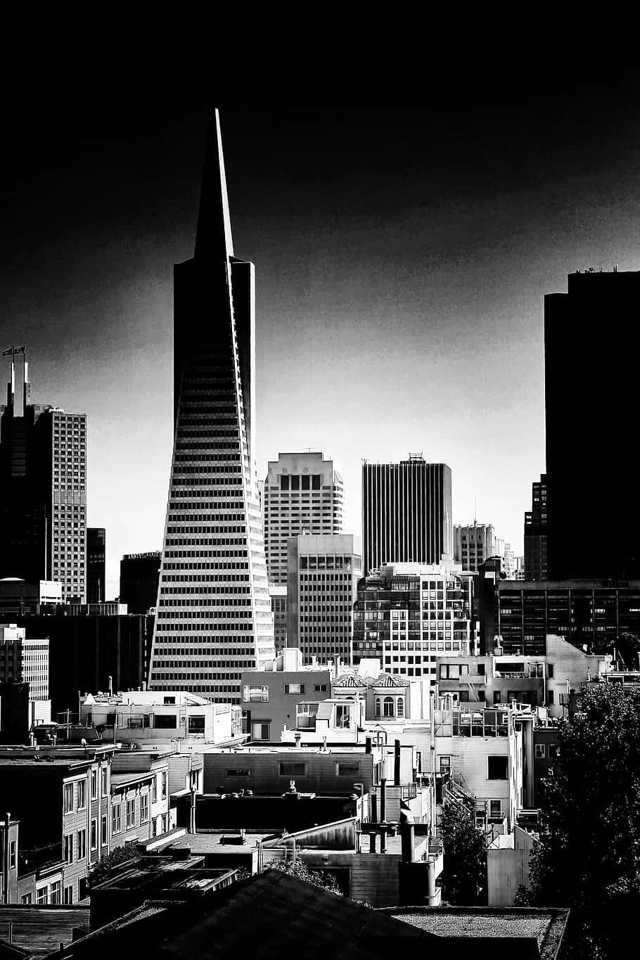 San Francisco Tall Buildings Black And White Wallpaper