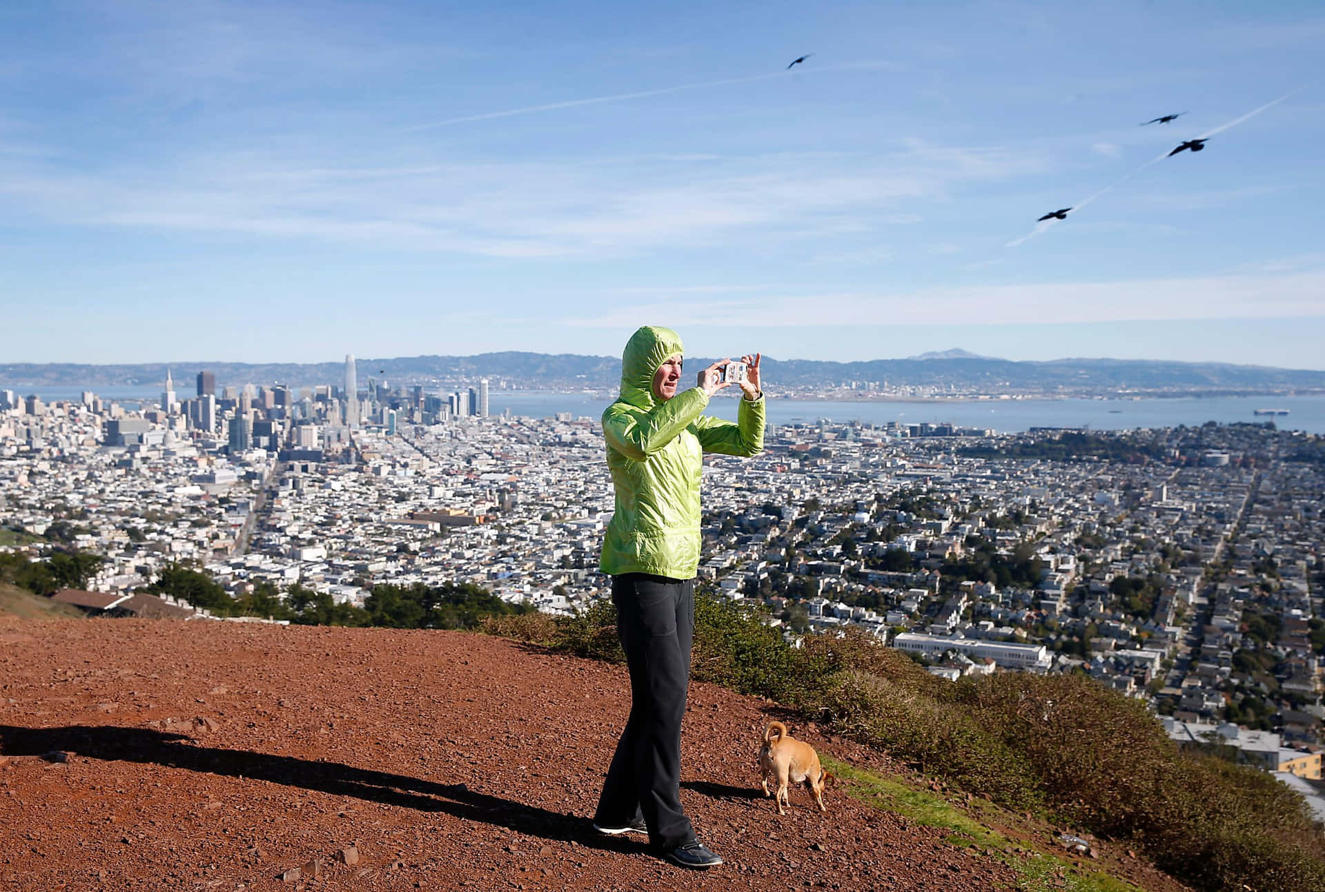 San Francisco City Viewfrom Twin Peaks Wallpaper