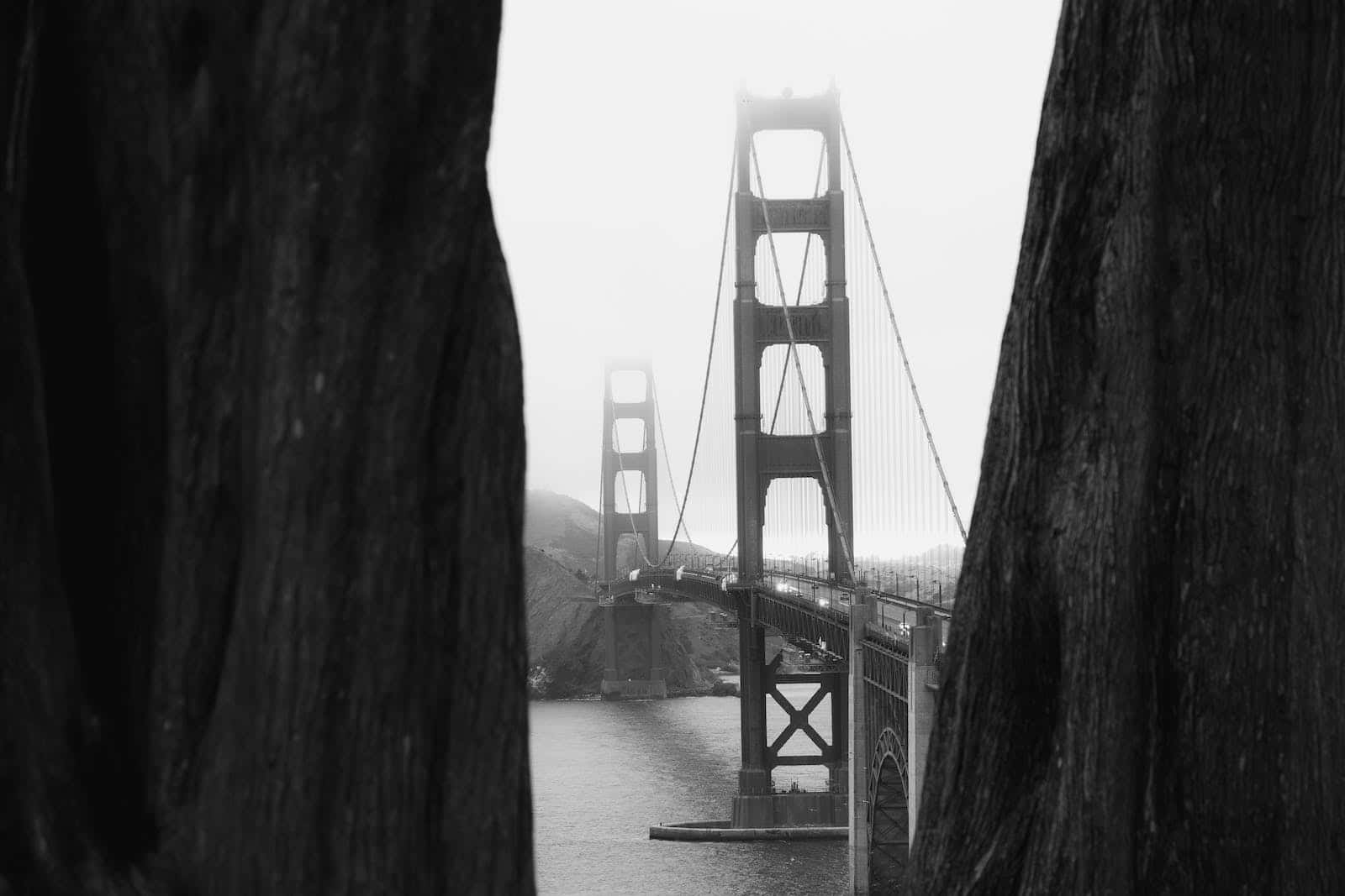 San Francisco's iconic fog rolling over the Golden Gate Bridge Wallpaper