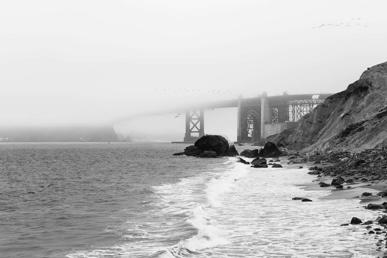 A mysterious fog slowly blankets San Francisco Wallpaper