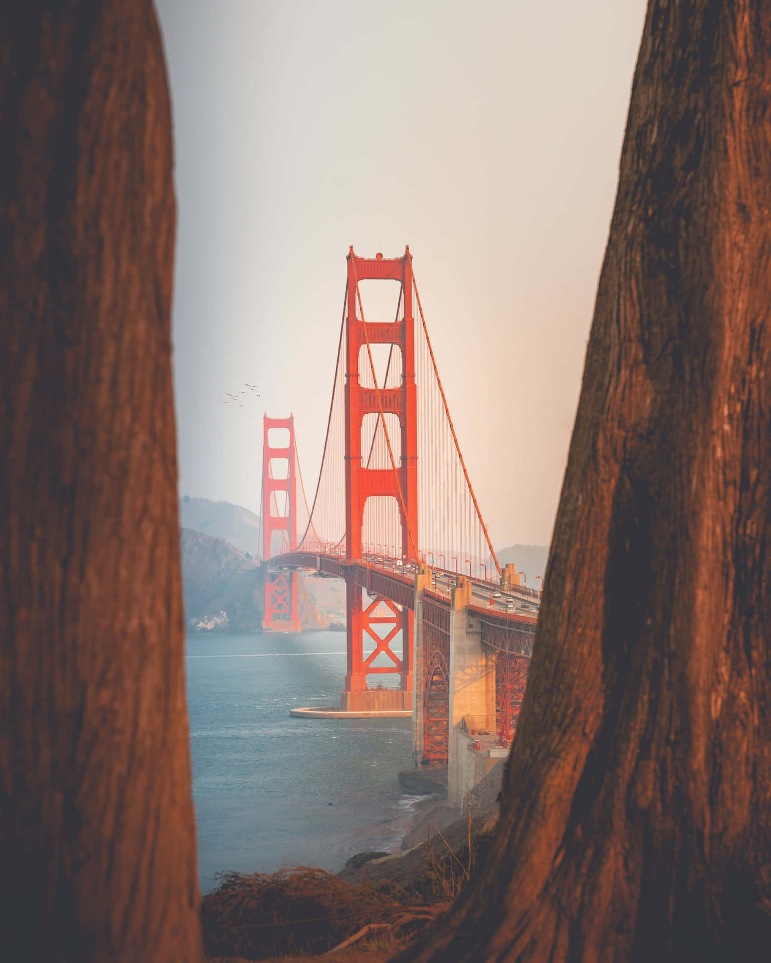 Golden Gate Bridge Perspective In San Francisco Fog Wallpaper