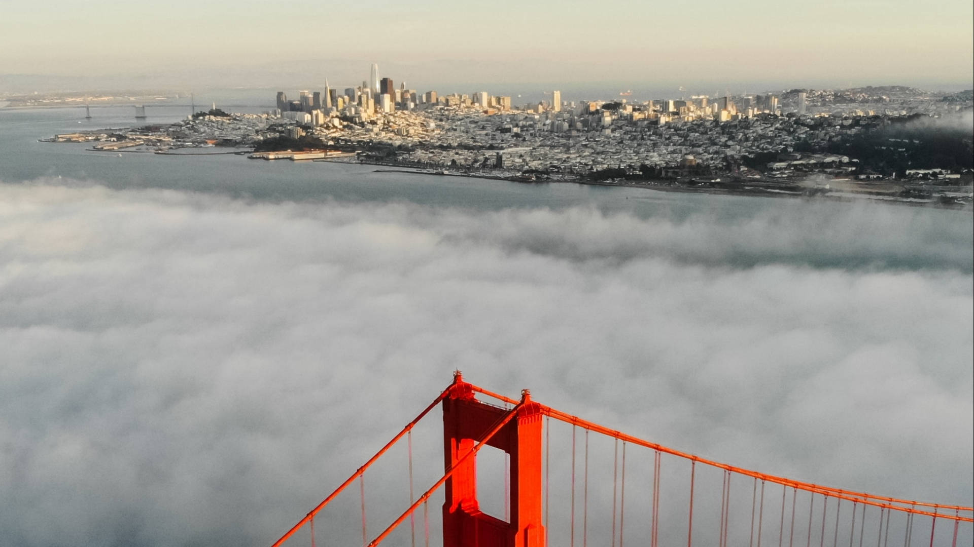 Skyline af San Francisco, USA Wallpaper