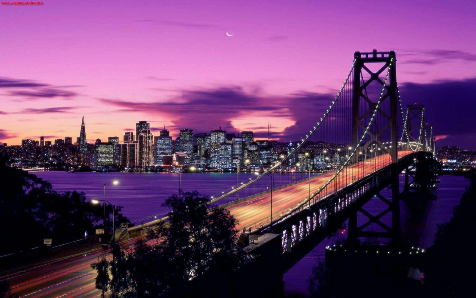 Working hard in the heart of San Francisco with a laptop Wallpaper