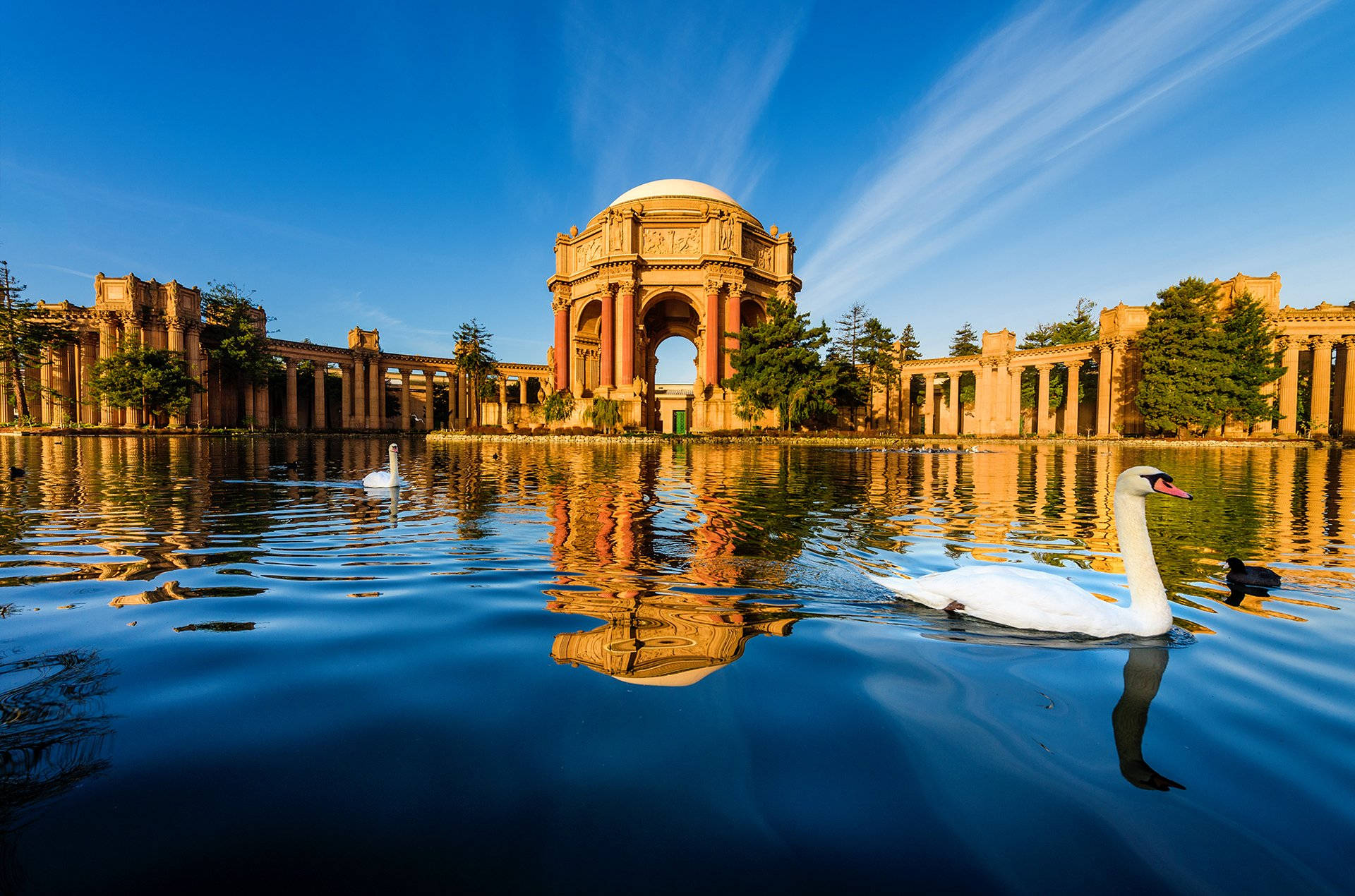 San Francisco Palace Of Fine Arts Picture