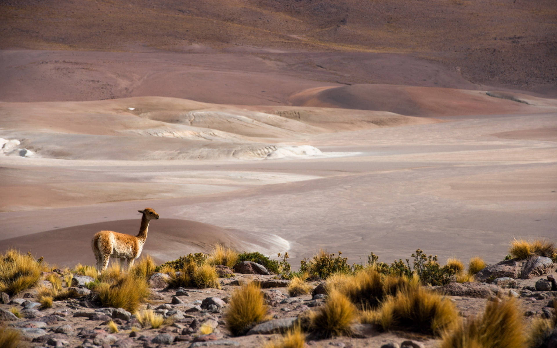 Stunning Landscape of San Pedro de Atacama, Chile Wallpaper