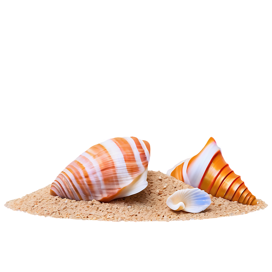Sand And Sea Shells Png 05242024 PNG