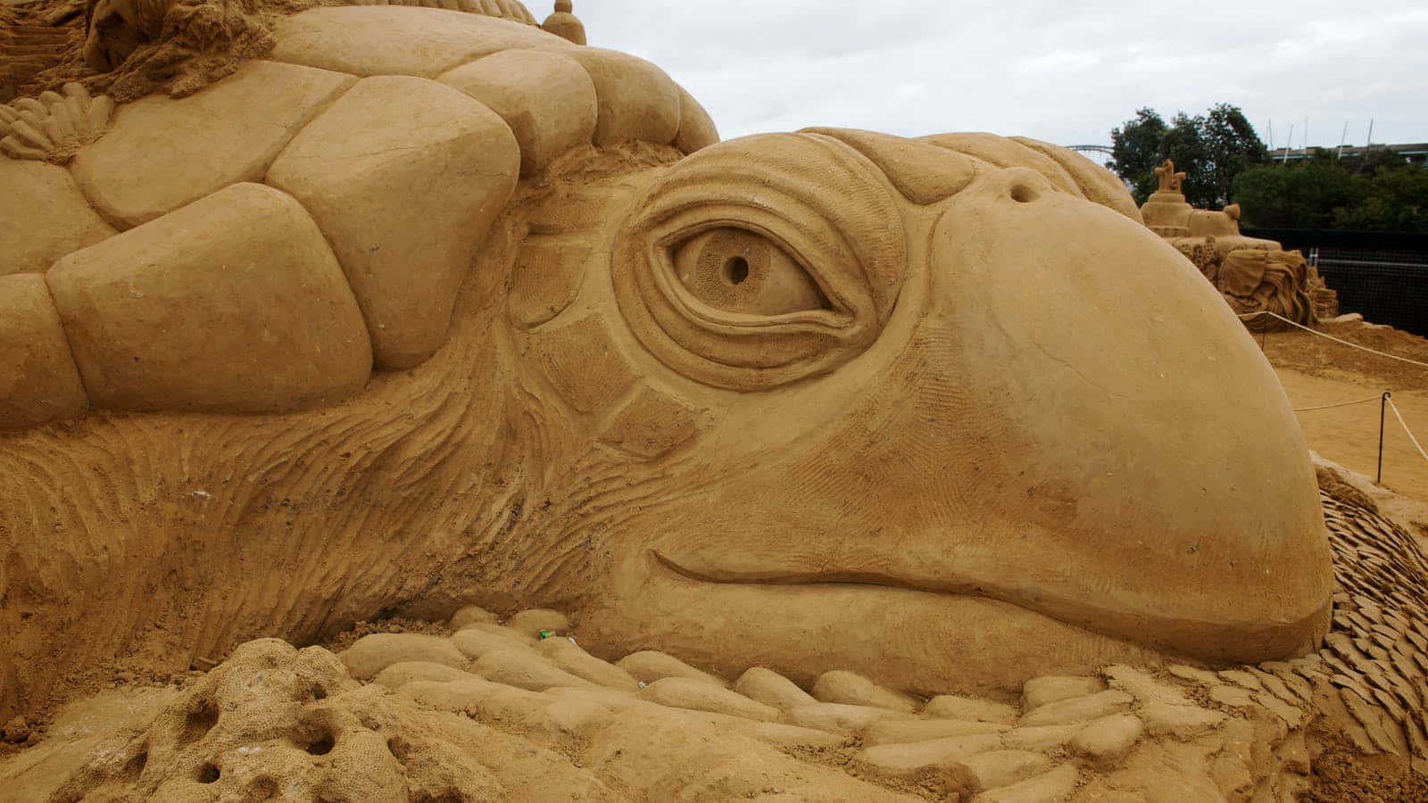 A Sand Sculpture Of A Turtle