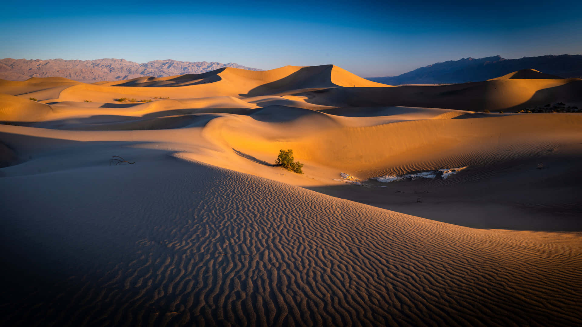 Download A vast expanse of golden sand | Wallpapers.com