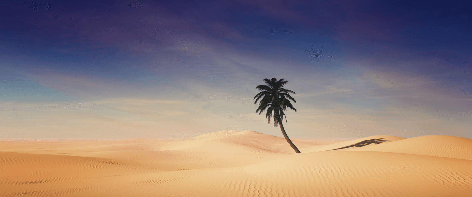 Envidstrakt Sandstrand Strækker Sig Ud Med Et Overflødighedshorn Af Muslingeskaller, Der Venter På At Blive Udforsket.