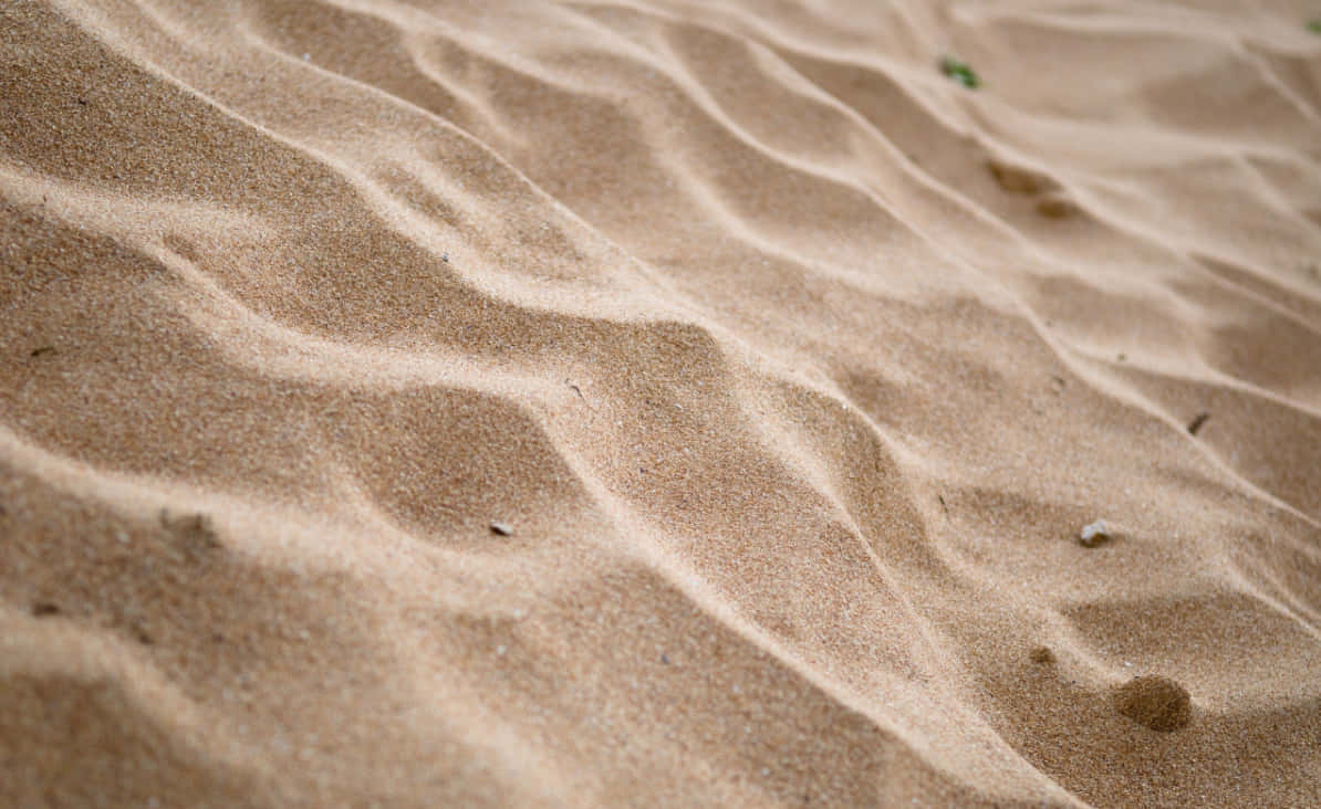 Njutav Skönheten I En Ökenlandskap Med Sand.