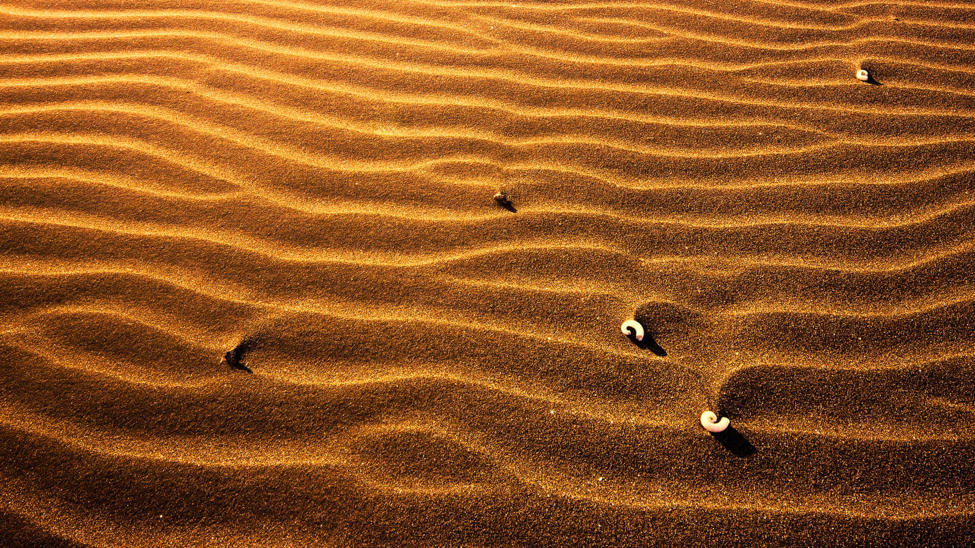 Udforskvidundrene Af Farverigt Sand