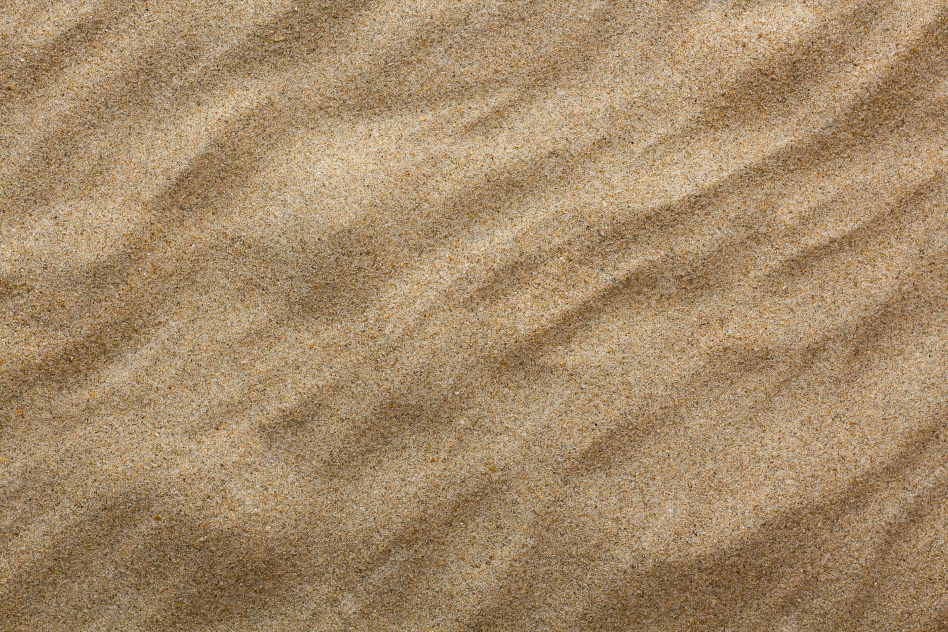 A desert filled with shimmering golden sand