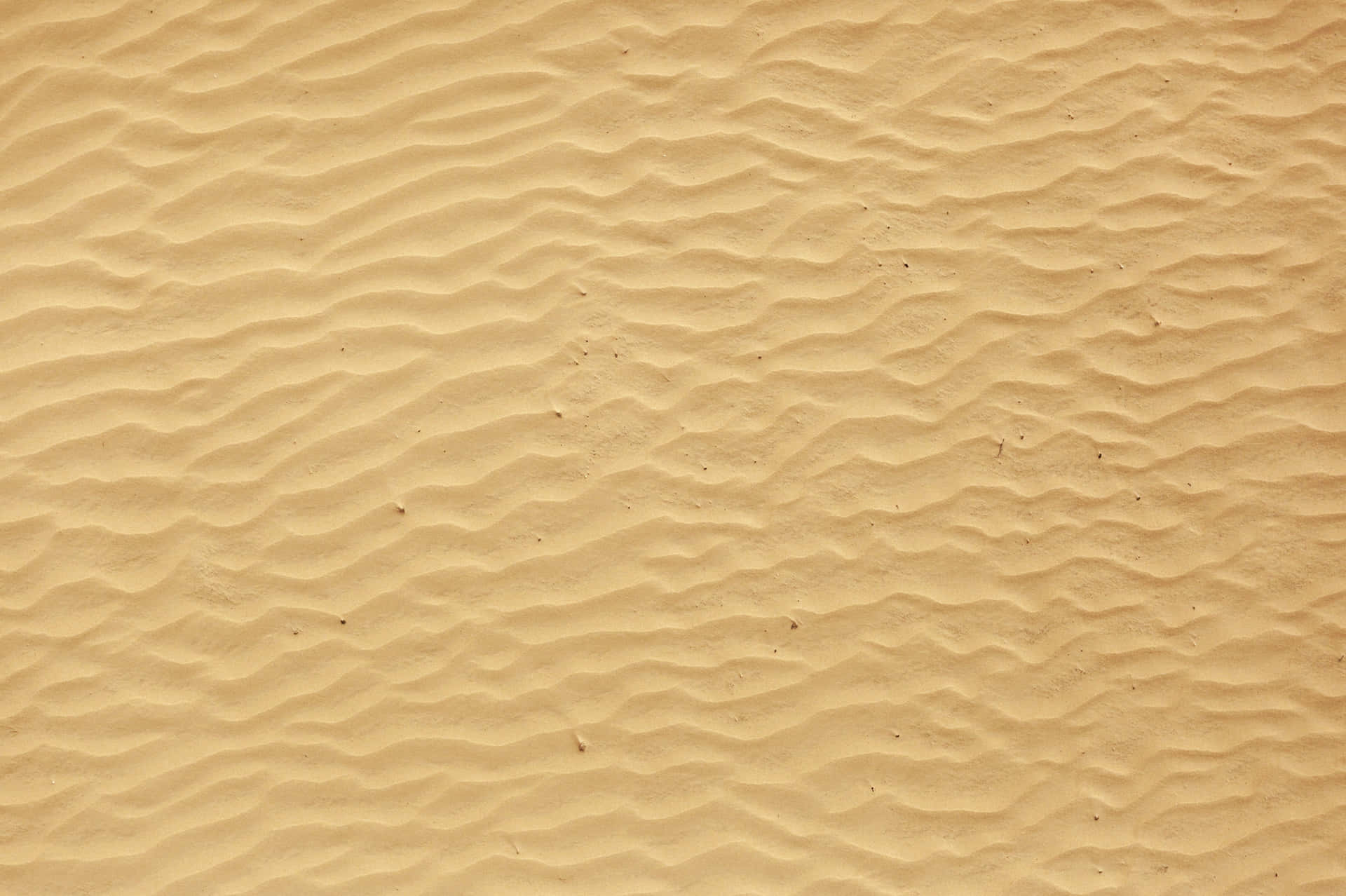 White Sand on a Sandy Beach at Sunrise