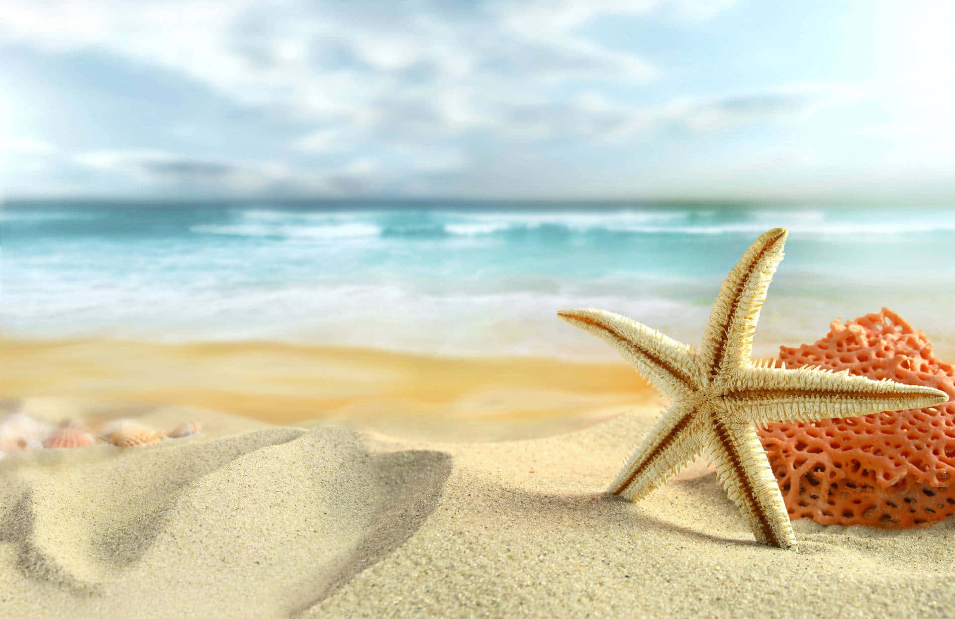 "A sandy and peaceful beach on a sunny day"