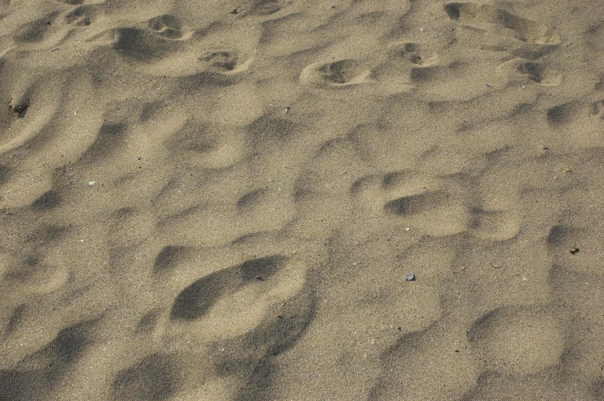 A Person Is Walking On The Sand