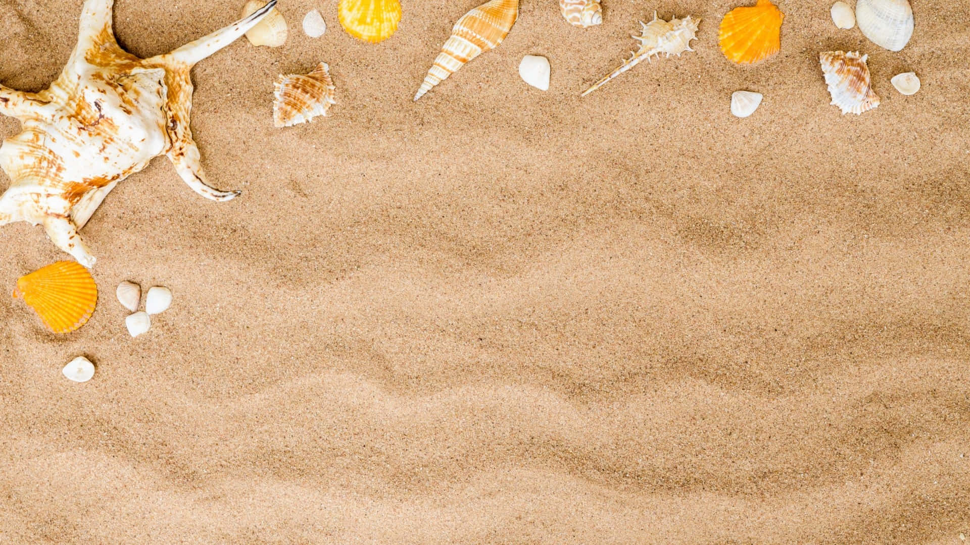 Splendid sandy beach for your summer relaxation.