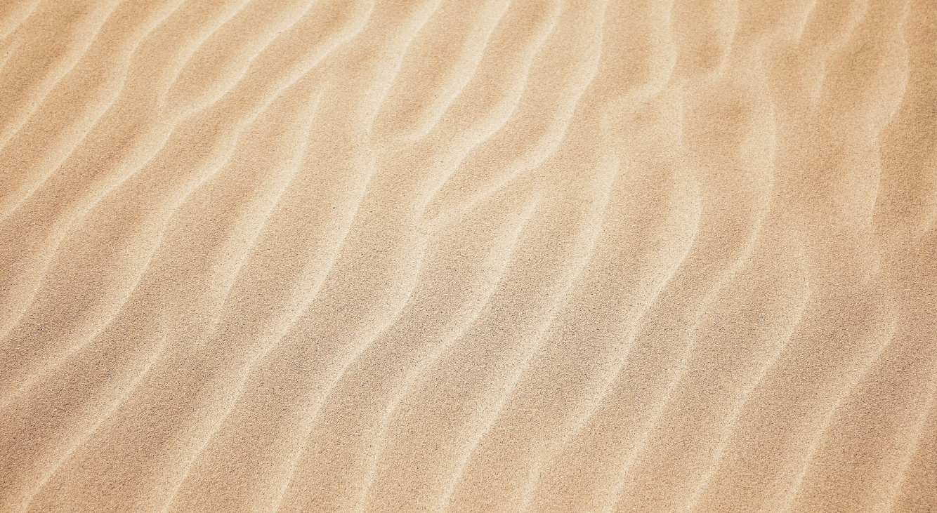 "White Sand Beach with Rolling Waves"