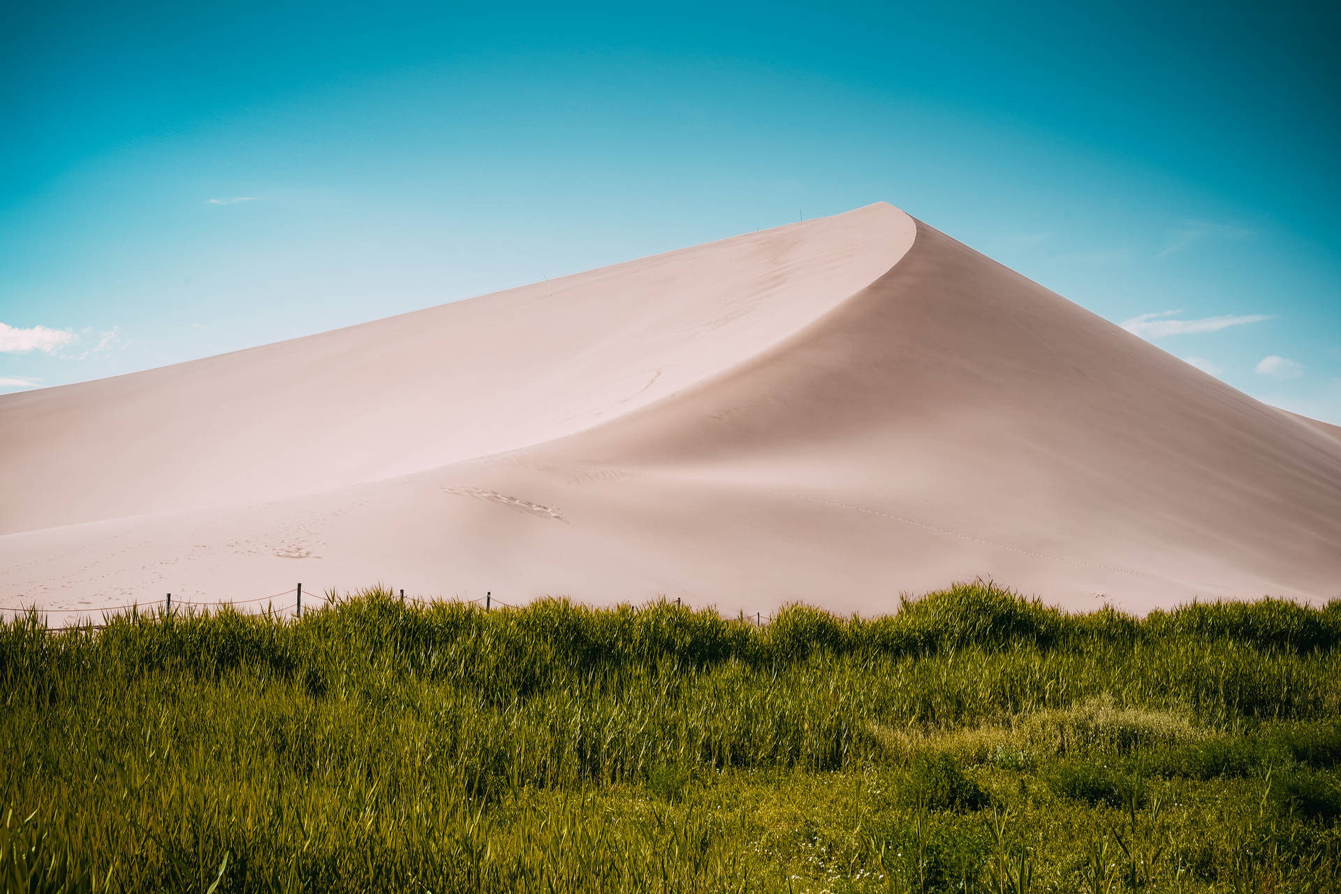 Sand Dune And Field Cool Pc