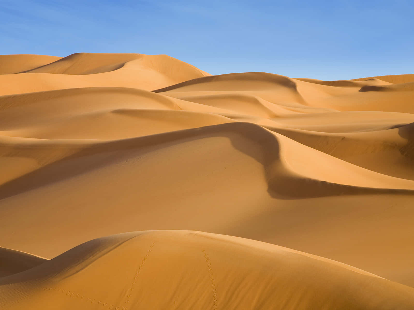 A Majestic View of Sand Dunes Wallpaper
