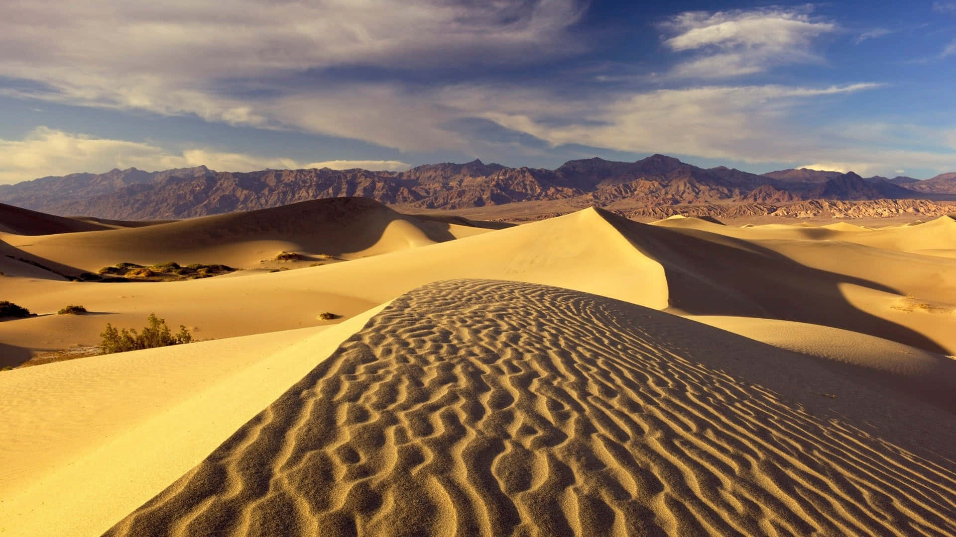 Majestic Sand Dunes under a Vibrant Sky Wallpaper