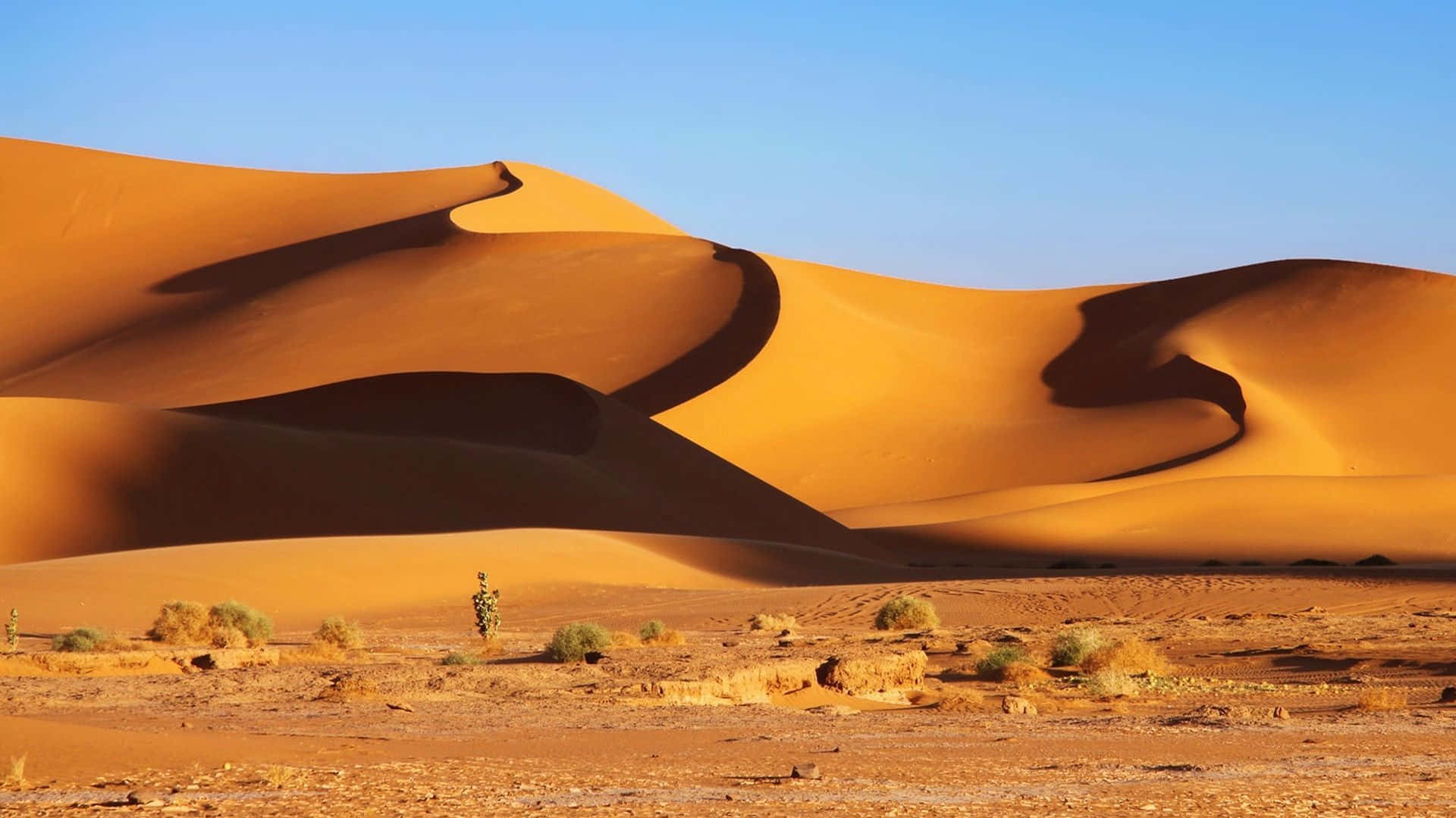Majestic Sand Dunes Landscape Wallpaper
