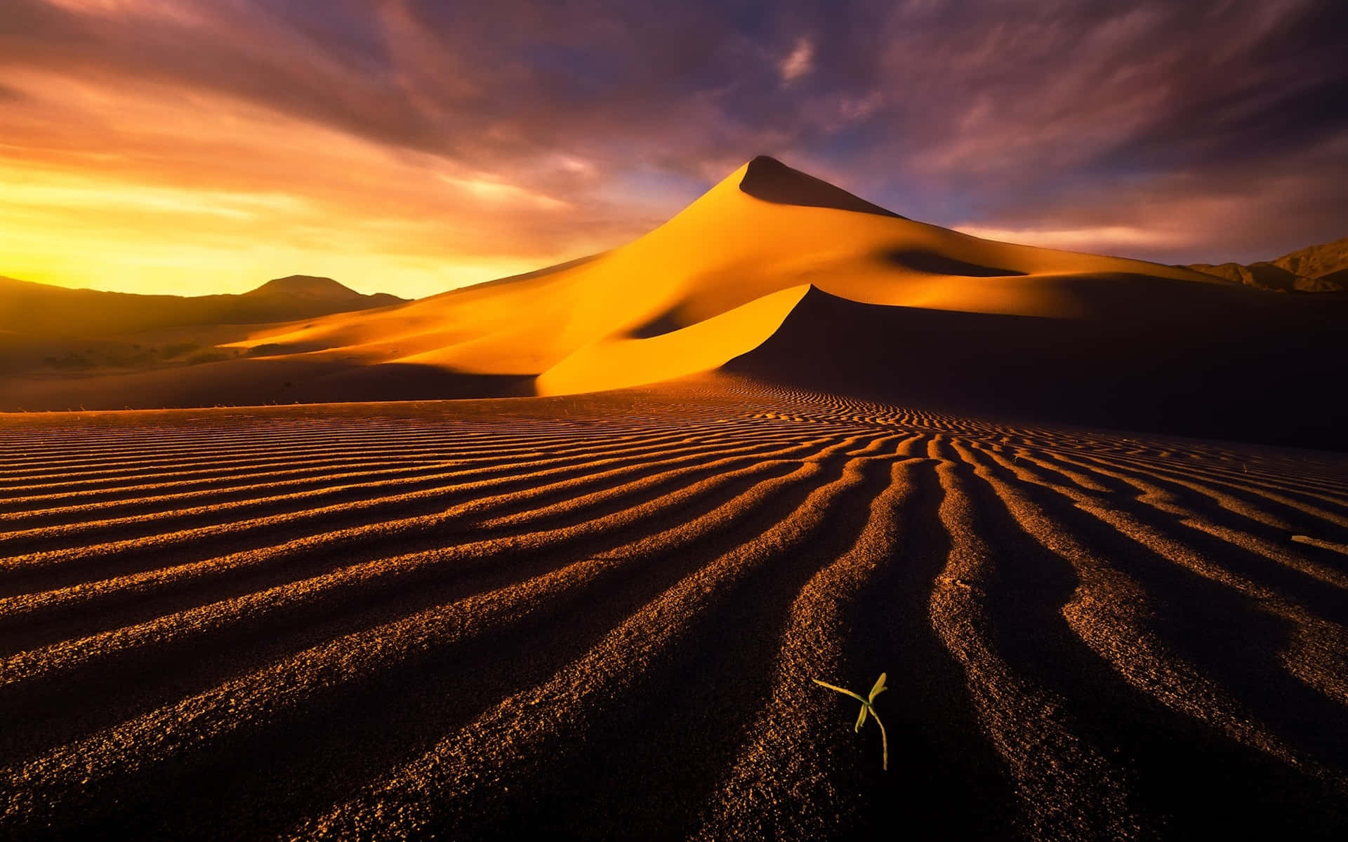 Lasmajestuosas Dunas De Arena Al Atardecer Fondo de pantalla