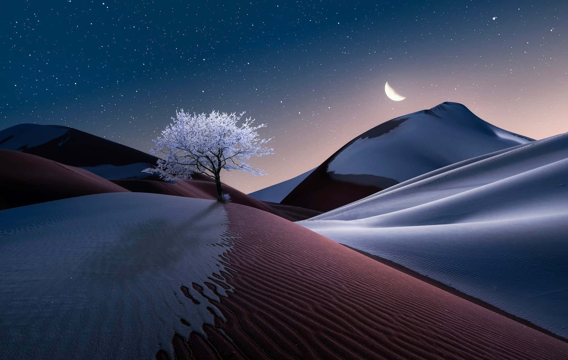 Download wallpaper: Sunset on the desert dunes 1920x1080