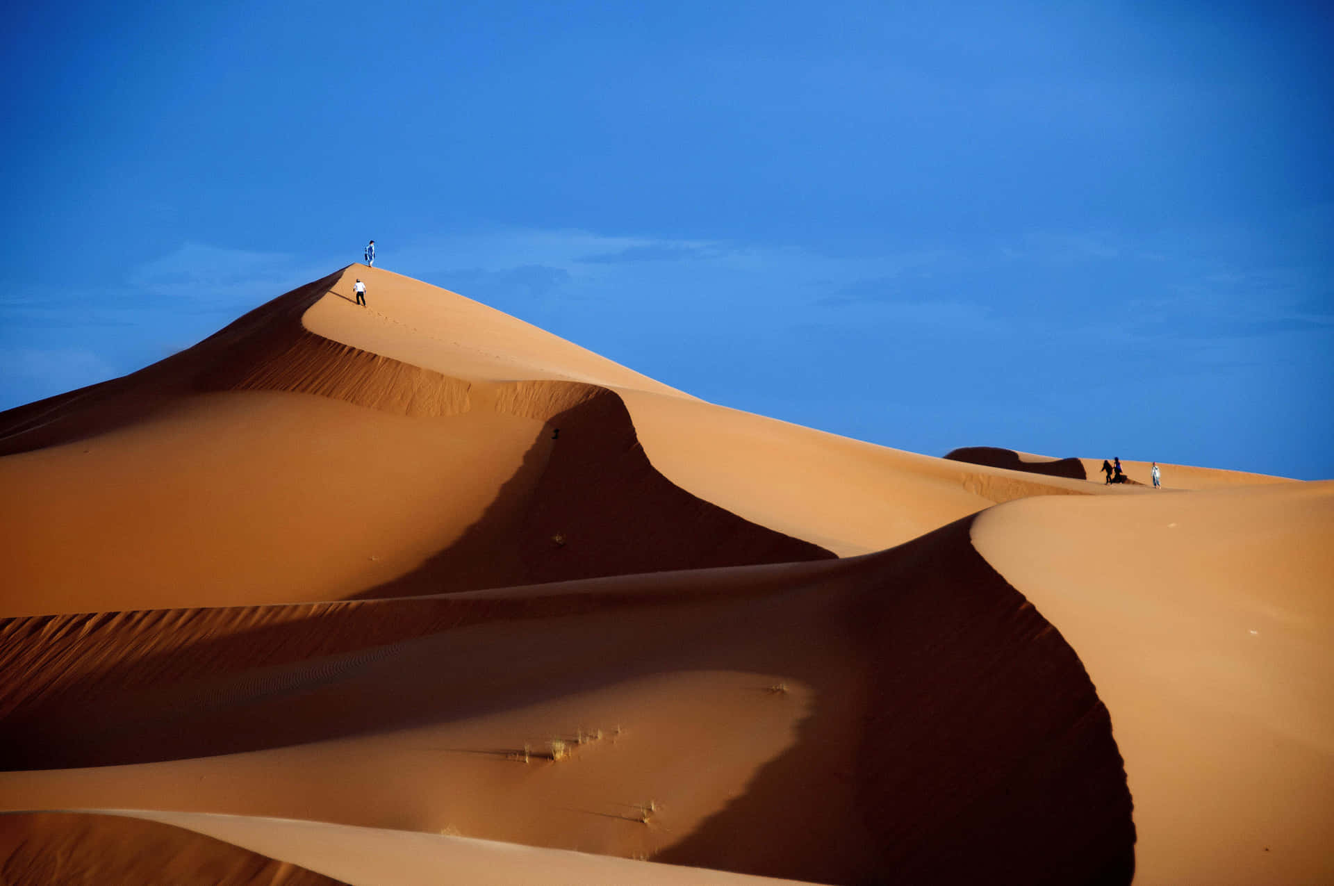 Stunning Sand Dunes at Sunset Wallpaper