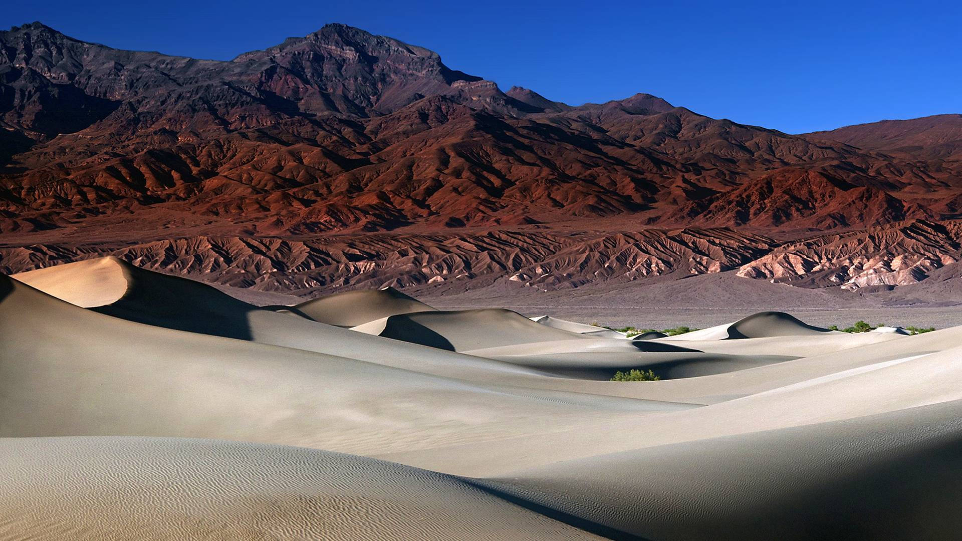 Sanddünen Death Valley Wallpaper
