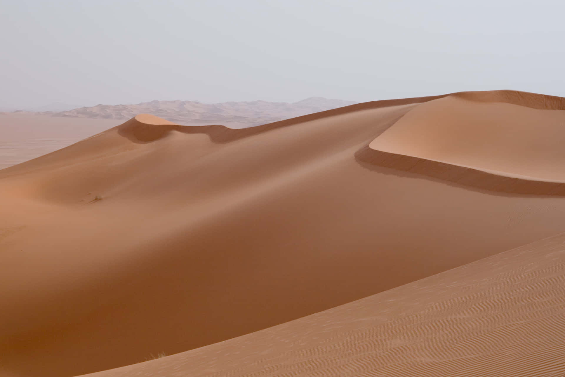 Billede Vægbeklædning af ørkenens dune sand